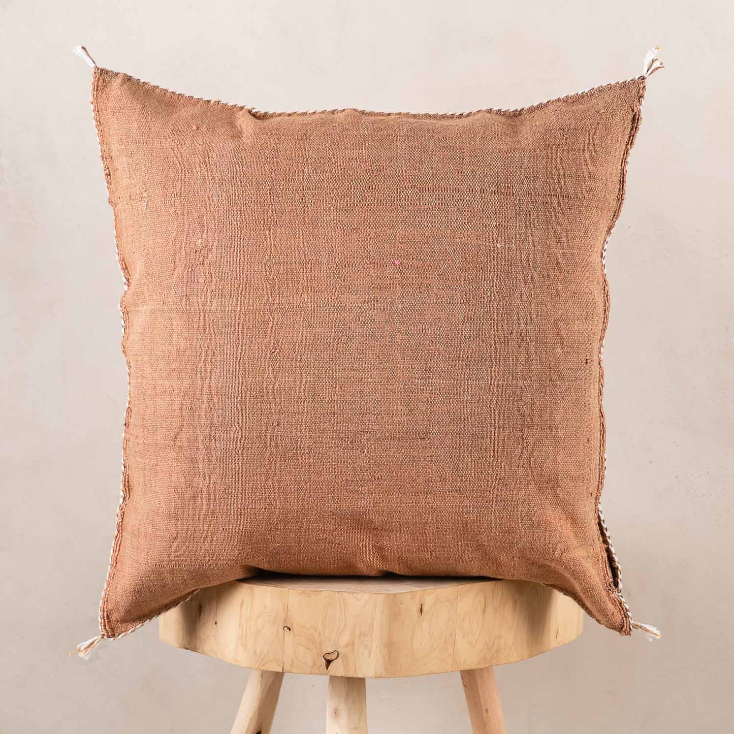 Brown Cactus Silk Pillow Cover